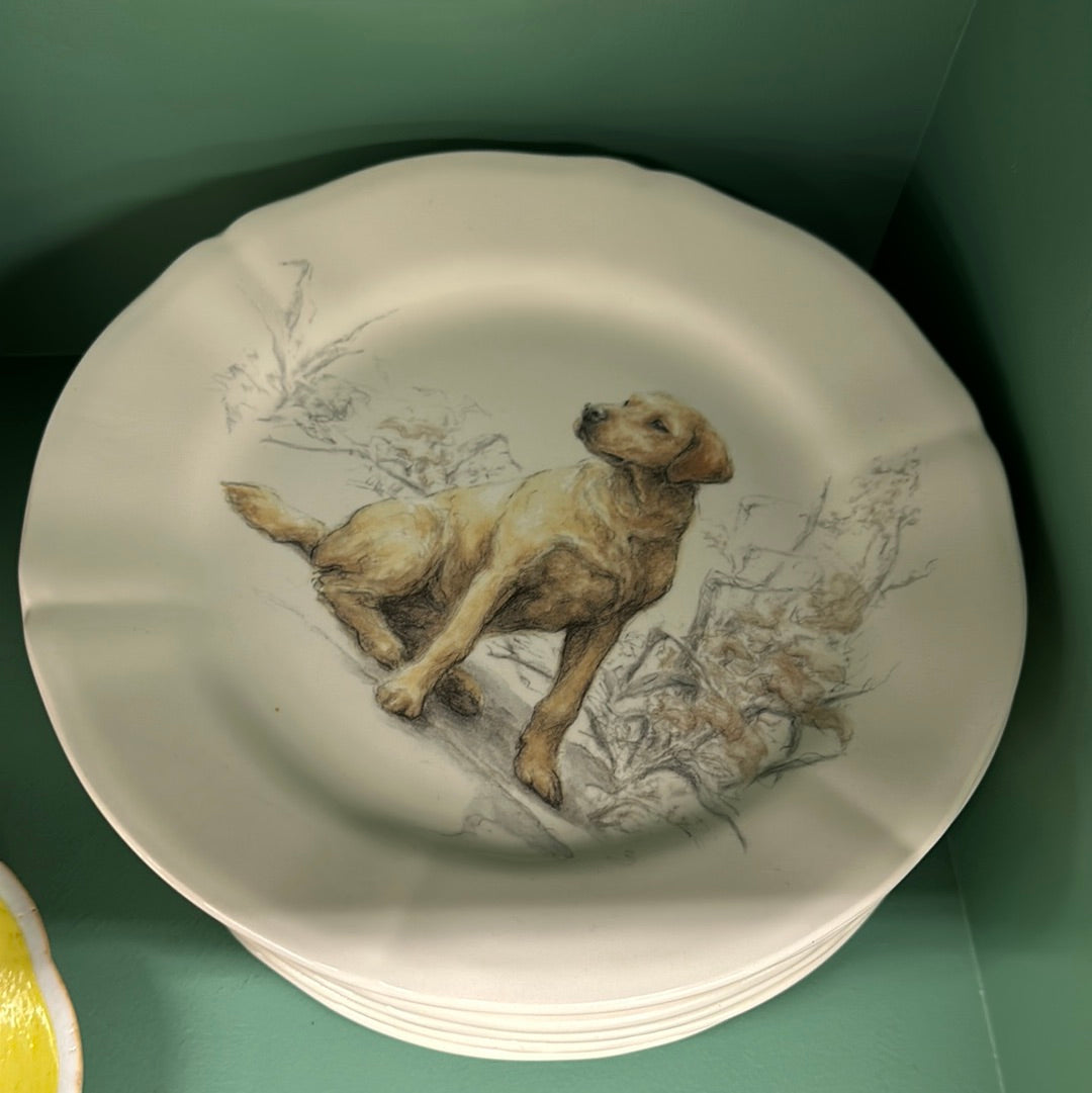 Dog Plates