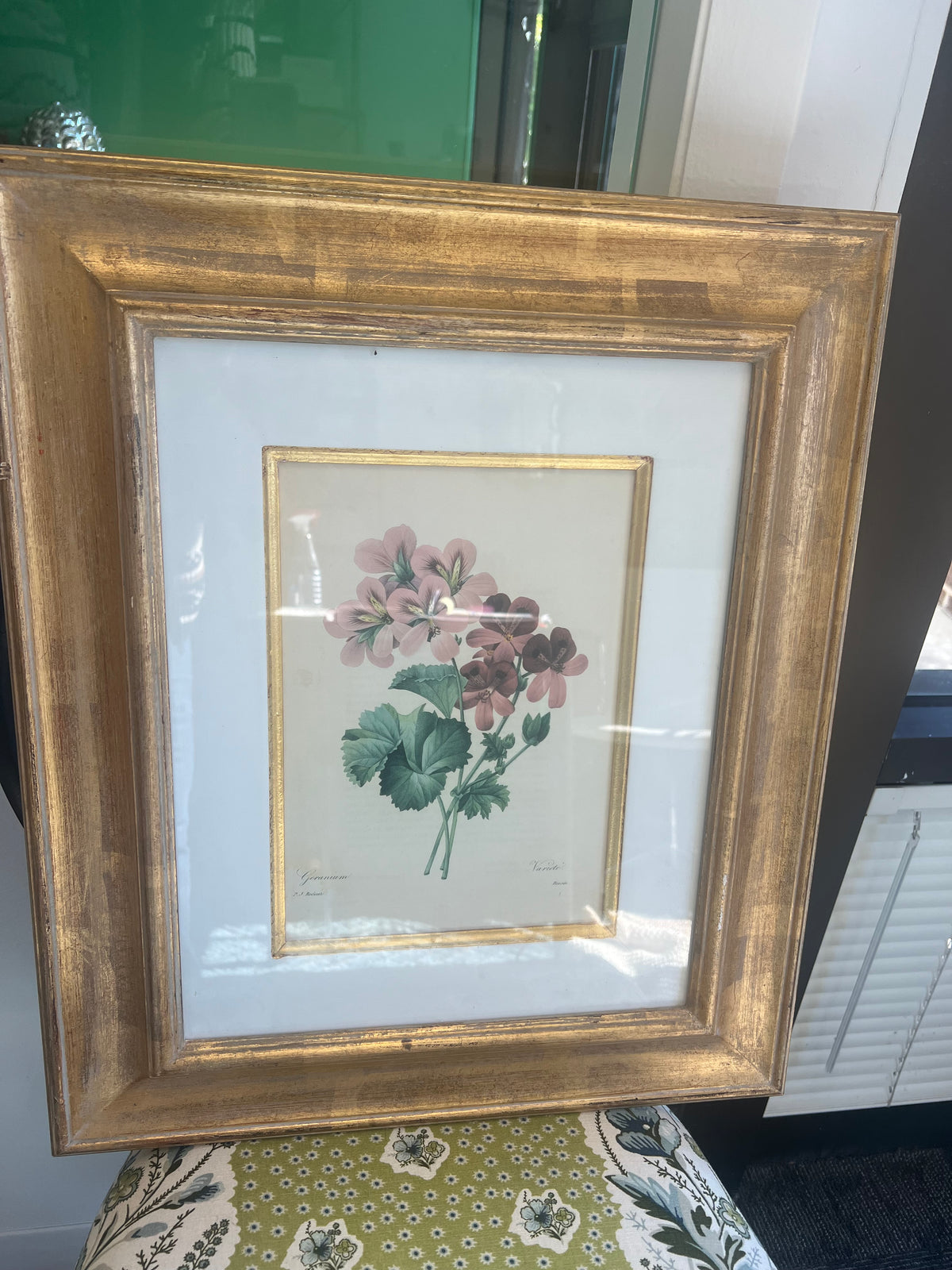 Geranium Botanical