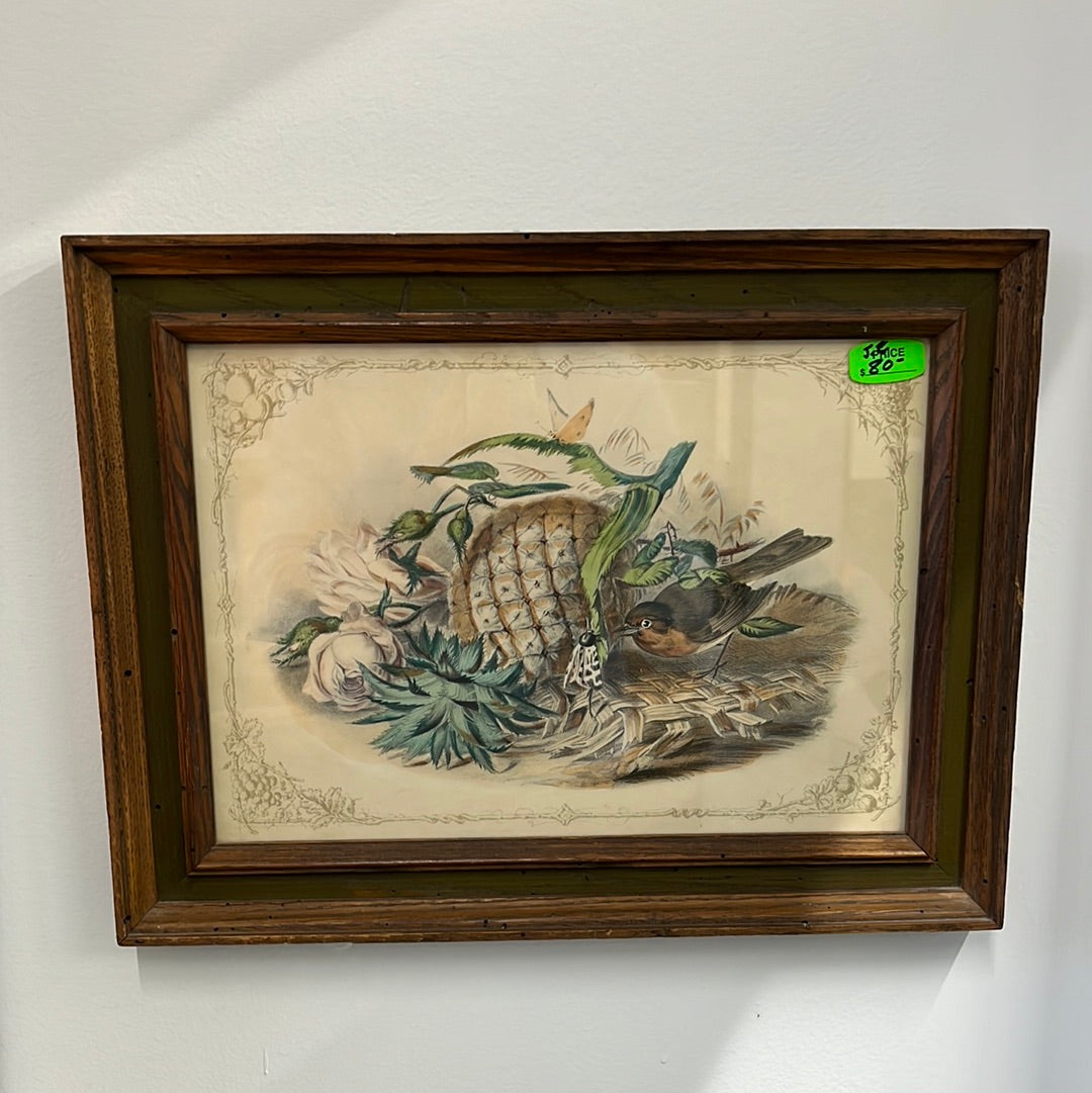 Framed Bird Watercolors