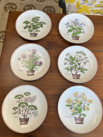Set Of Lunch Plates And Serving Dish