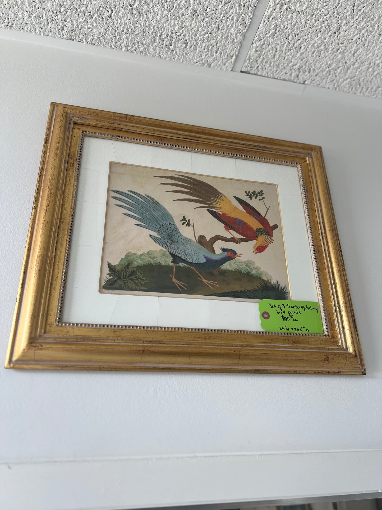 Watercolor Birds On Branches