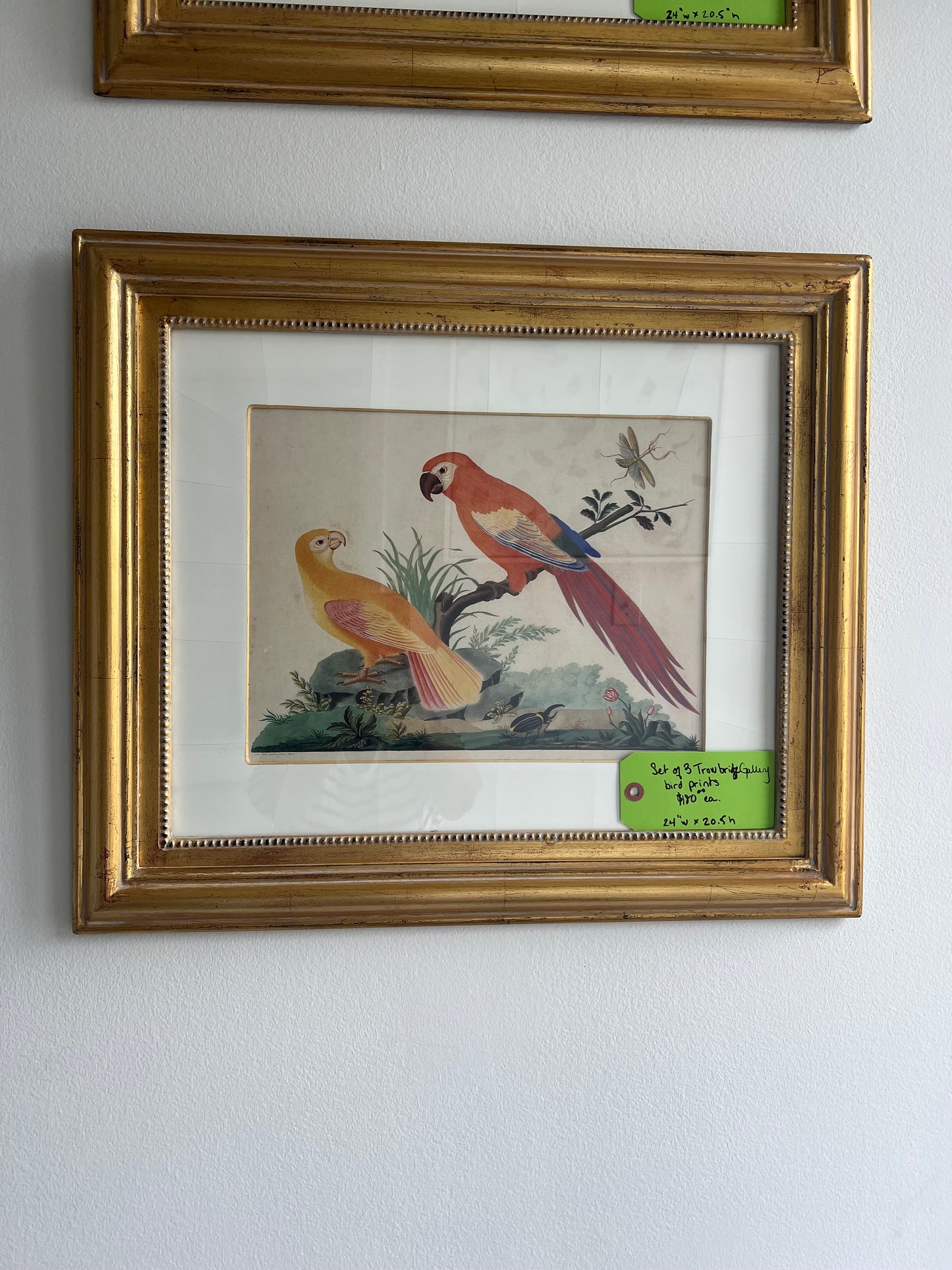 Watercolor Birds On Branches