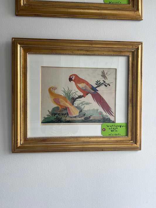 Watercolor Birds On Branches