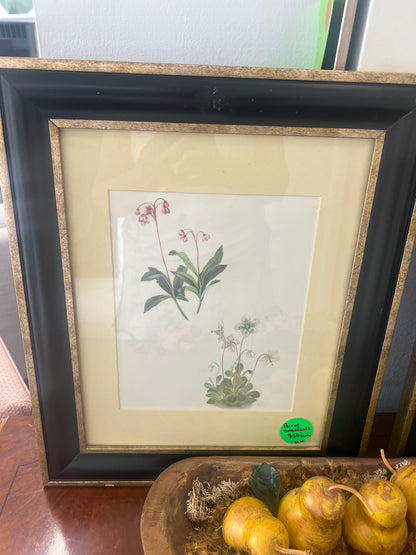 Black Frame Botanical