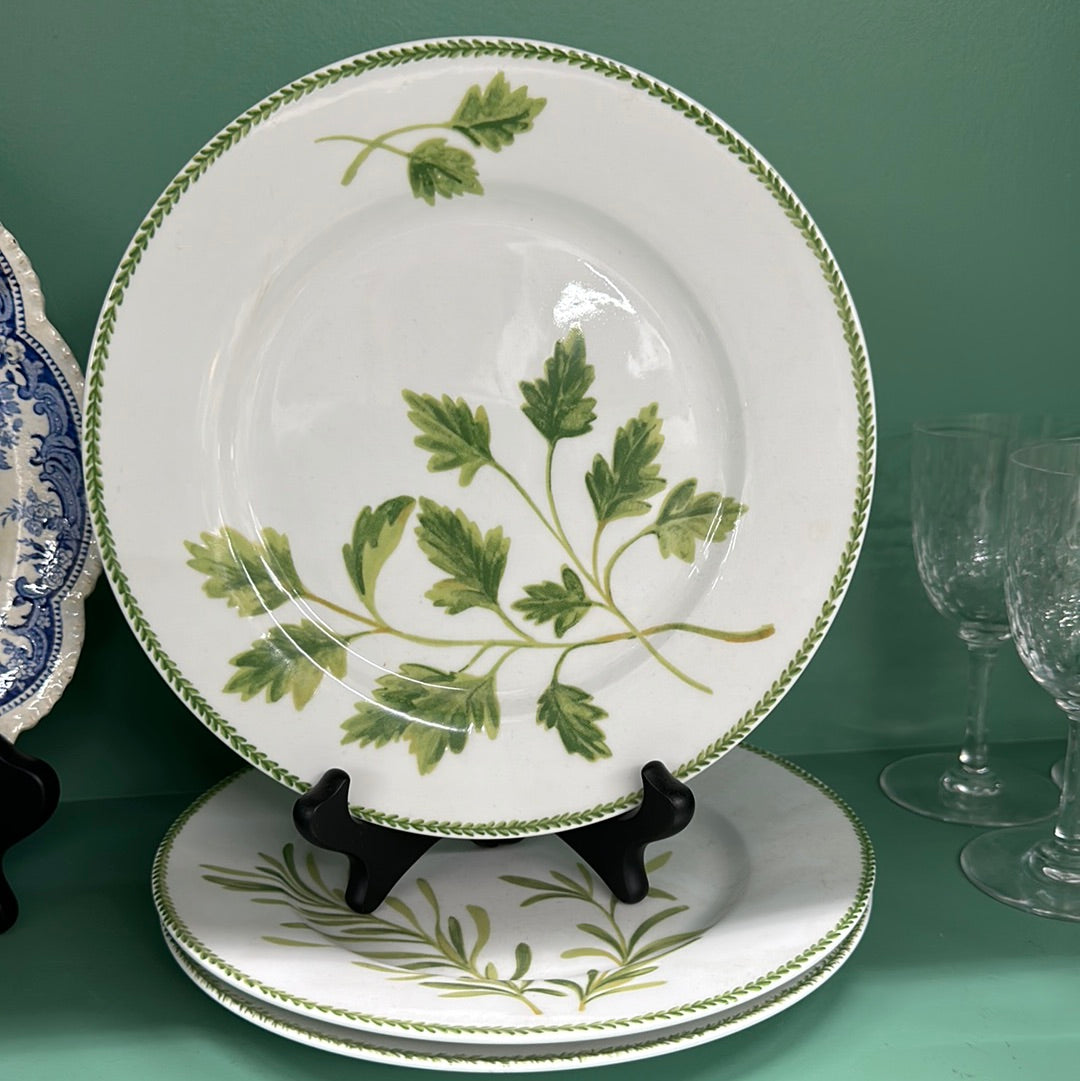 Green Leaf Plates