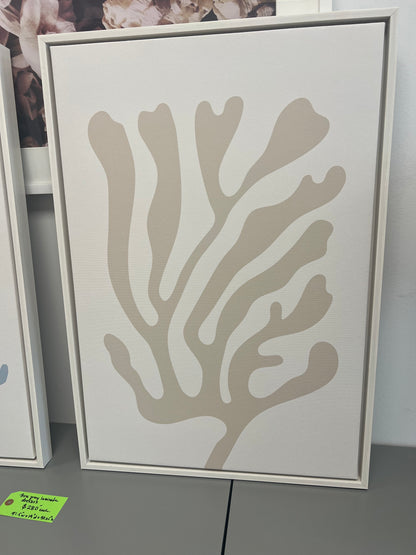 Coral Coastal