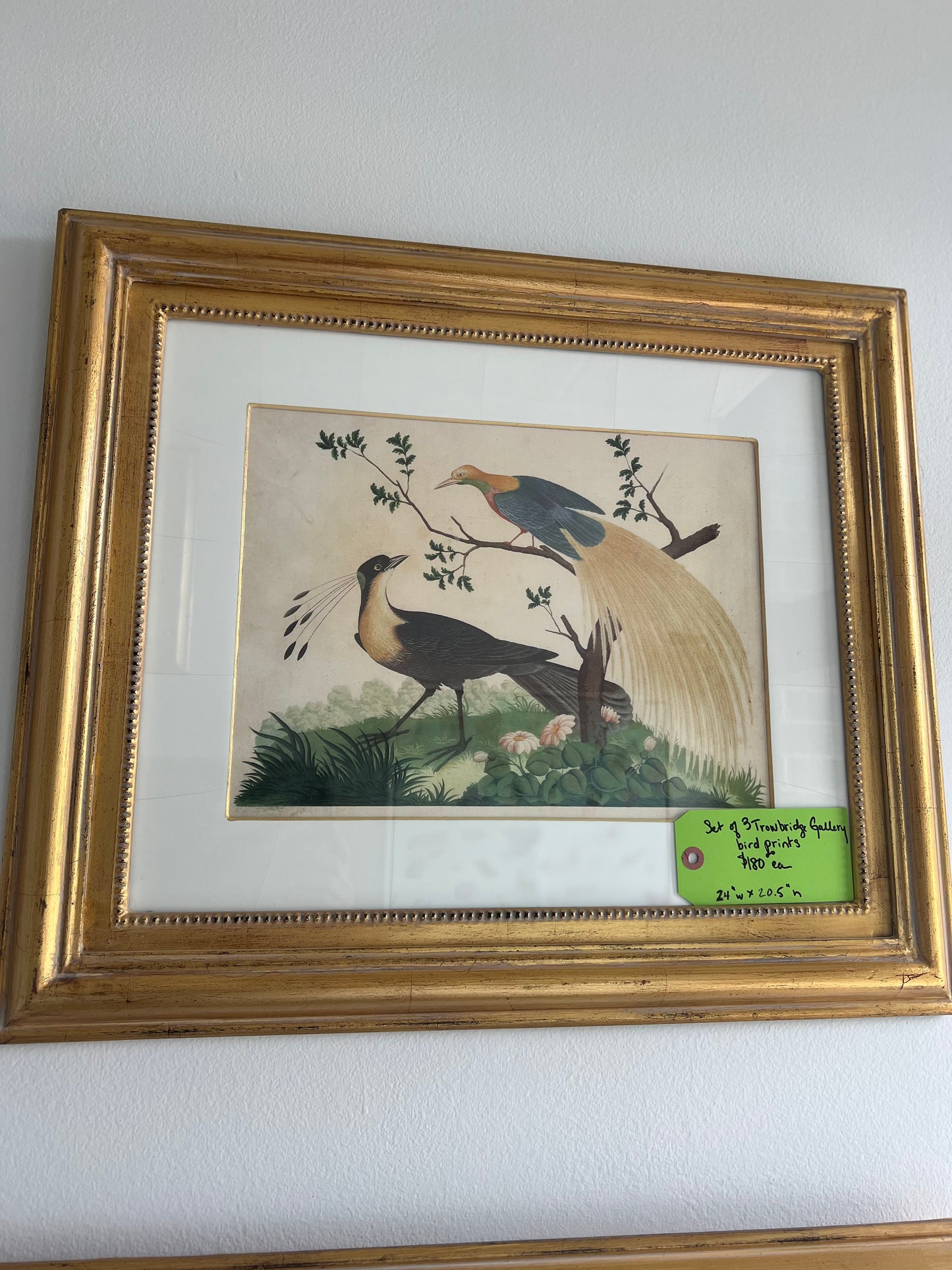Watercolor Birds On Branches