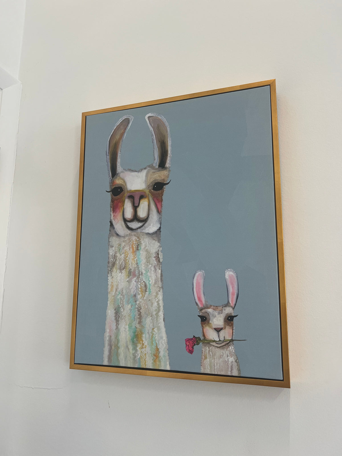 Llama’s