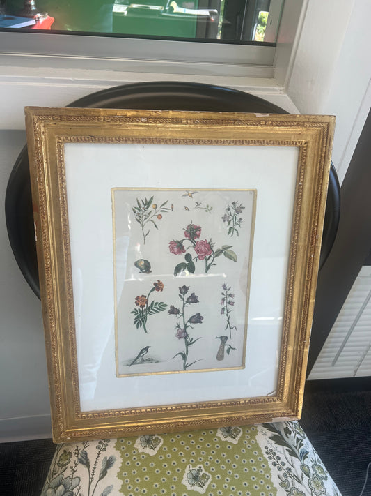 Rose & Bird Botanical