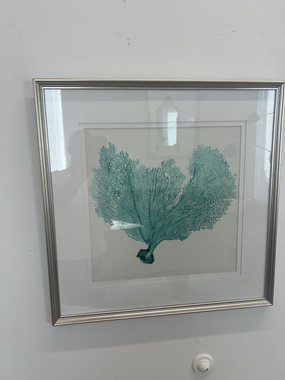 Turquoise Coral